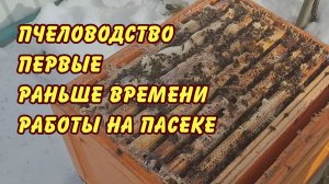 пчеловодство первые раньше времени работы на пасеке 2026
