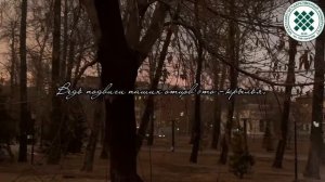 «Подвиги отцов – крылья сыновей»: увековечим имена героев