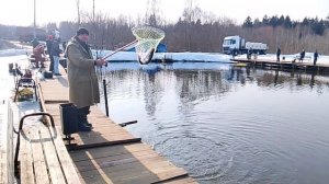 Ловля форели на 1-м Вип РК "Фишка Петряиха"