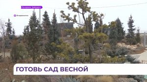 В Приморье дачники начинают готовиться к садово-огородному сезону