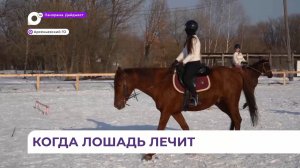 В конном клубе Арсеньева планируется запустить лечебные занятия для детей с ОВЗ