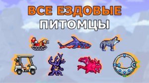 Все Ездовые Питомцы (27 Маунтов) в Террарии (1.4.4)