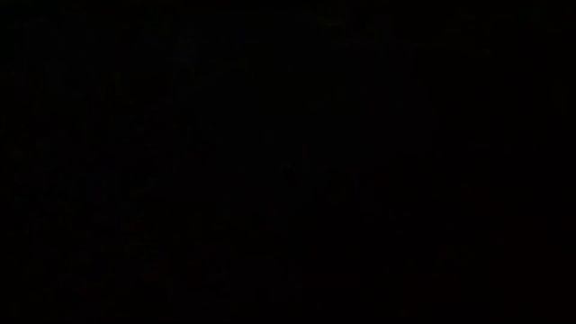 Timberborn | Трейлер к выходу версии 1.0