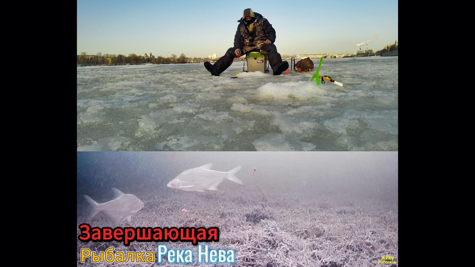 ЗАКРЫЛ ЗИМНЮЮ РЫБАЛКУ НА РЕКЕ НЕВА 9 МАРТА ДОЖДЬ ВЕТЕР  ПОИСКИ ОКУНЯ ПЛОТВЫ