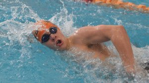 Плавание + силовые нагрузки = идеальная форма? Тренировки пловцов