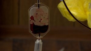 Донорская акция по сдаче крови на СВО