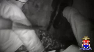 Полицией разоблачены супруги из Калининграда и их знакомый,рассылавшие запрещённые вещества по почте