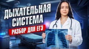 Дыхательная система | Разбор для ЕГЭ по биологии | Жанна Казанская | Умскул