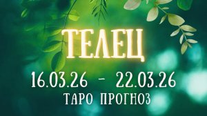 ТЕЛЕЦ ♉ таро прогноз на неделю 16.03.26 - 22.03.26