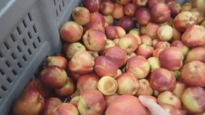 СВЕТОФОР🚦ЧТО ЗДЕСЬ КУПИТЬ ДЕШЕВЛЕ✅ Обзор магазина Продукты питания и другие товары