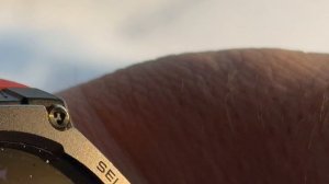 Первые поимки до запуска