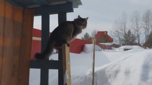 ✅️Она пришла!🌞🤗