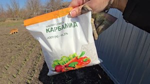 ✨️Где воняет там пахнет✨️Готовим огород к посадкам ✨️Удобрила чеснок,лук,клубнику✨️