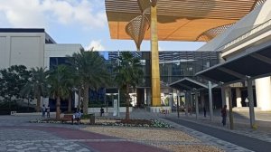 Мы едем в аэропорт и домой!