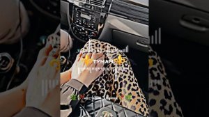 новая цыганская песня туман⚜️2026⚜️