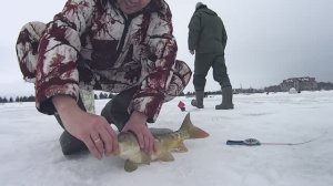 Ловля карпа на безмотылку чертик зимой со льда