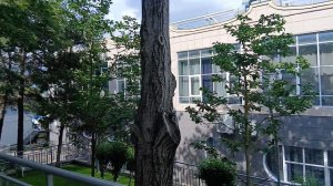 Вышел из номера в столовую на БО Рассвет на Чёрном море в Архипо-Осиповке