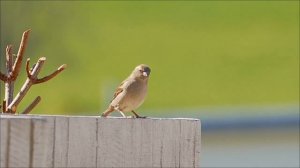 Страшная тайна пятницы 13. Вас обманывали веками.