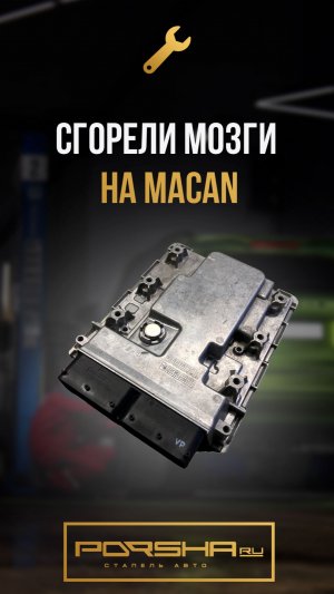 Сгорели мозги на Macan