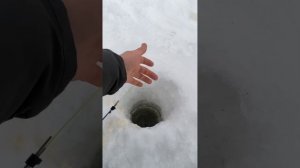 Хороший улов на Пышме