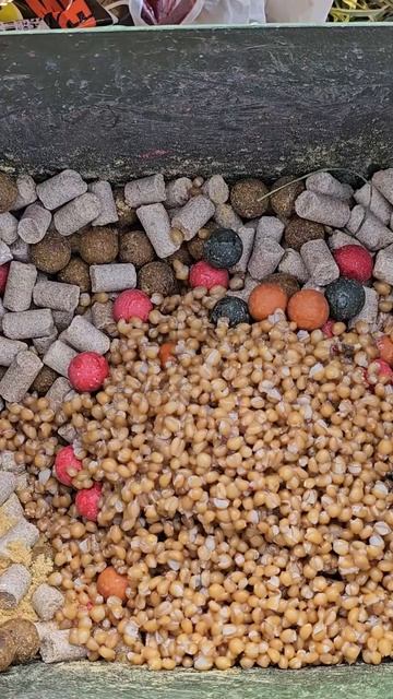 как нужно кормить карпа