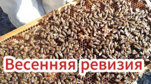 Первые весенние работы на пасеке.