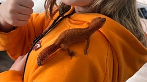 вопрос ответ