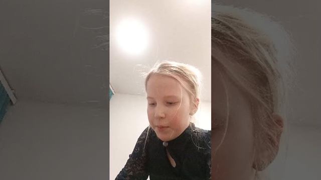 аниматроник 1