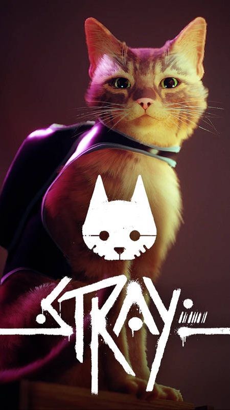 Stray смотреть онлайн