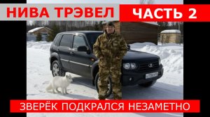 НИВА ТРЭВЕЛ ЗАБЛОКИРОВАЛИСЬ ДВЕРИ КАК ОТКРЫТЬ? ЧАСТЬ 2