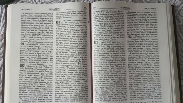 # День 151#  Пища для моего духа #  Псалтырь  гл. 101 #ПС v1.0 #