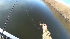 ПЕРВАЯ РЫБАЛКА НА ВОДЕ! ЛОВЛЮ ЩУКУ И ОКУНЕЙ НА СПИННИНГ. ЛЁД ВСЁ. ВЕСЕННИЙ СЕЗОН.