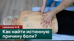 Как найти причину боли? Техники пальпации, тесты ингибиции и работа с органами. Циванюк А.В.