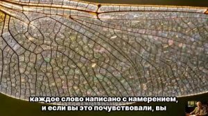 ОН ВЕРНЁТСЯ НА КОЛЕНЯХ — Когда ТЕНЬ откроет ПРАВДУ о СИЛЕ