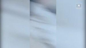 Дорожный конфликт в центре Воскресенска закончился стрельбой