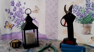 Новый помощник.12.03.26г