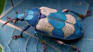 Сказочные джунгли [стимпанк]