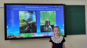 СОШ 18_Клочкова Алиса_Океанариум как окно в подводный мир от мечты к реальности