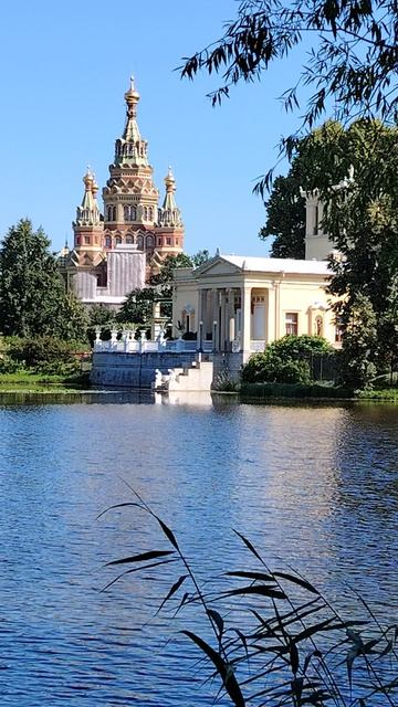 Колонистский парк. Вид на Ольгин павильон и Петропавловский собор. Петергоф