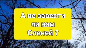 ЖИЗНЬ В ДЕРЕВНЕ КИПИТ//РАБОТЫ ВАЛОМ ,СТРОИМ ,МНОГО ПЛАНОВ