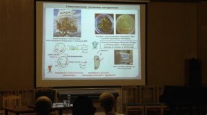 Лекция. Бактериолитические ферменты бактерий и их перспектива для медицины.