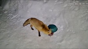 Ночью на самообслуживании.