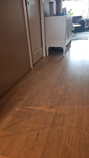 Быстренько переодеваемся!