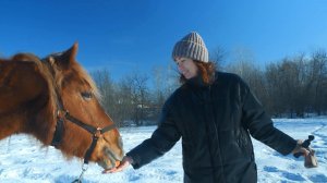 Лечебные лошади. Всё Моё. Фрагмент выпуска от 17.02.2026