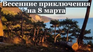 Весенние приключения на 8 марта