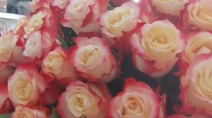 ГОСПОДА И ДАМЫ🙋❗ХУДЕТЬ БУДЕМ❓ВЕСНА🪻🪻🪻, СОЛНЦЕ ☀️☀️☀️.ХОЧУУУ ☝️ ОСИНОВУЮ☝️ ТАЛИЮ☝️😂😂😂