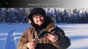 маленькое лесное озеро