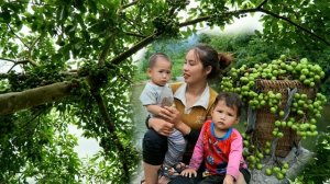 Мама поневоле. Дуонг. Расширяю курятник и утятник. Собираю инжир на продажу. Серия 84