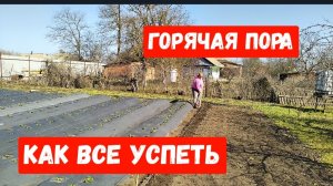 #198🏡Как все успеть/Посеяла морковь/Подключили воду для полива/Покупки/Розы