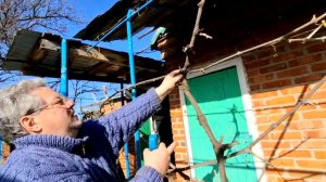 1106 Один день год кормит.Пришлось всё снова выкопать.